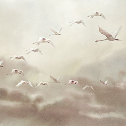 候鸟Ⅱ-原创定制壁画 张杉杉  NEWDECO家具品牌