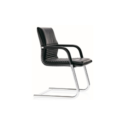 FS-Line 212/5 会议椅   现代真皮会议椅
